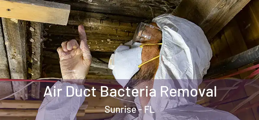  Air Duct Bacteria Removal Sunrise - FL