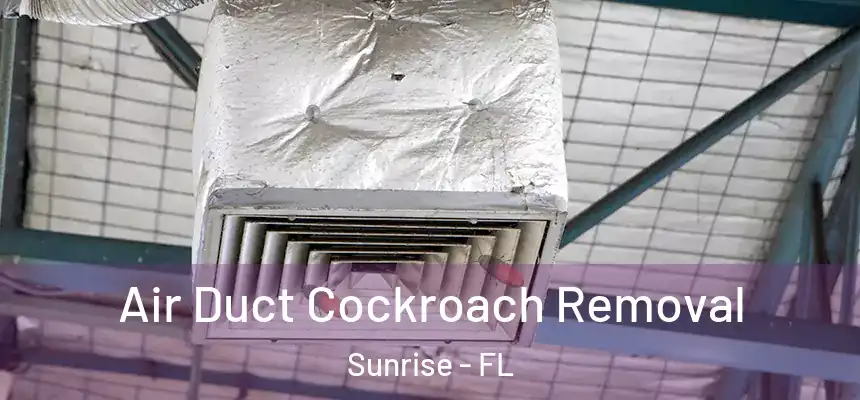 Air Duct Cockroach Removal Sunrise - FL