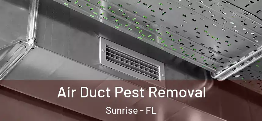Air Duct Pest Removal Sunrise - FL