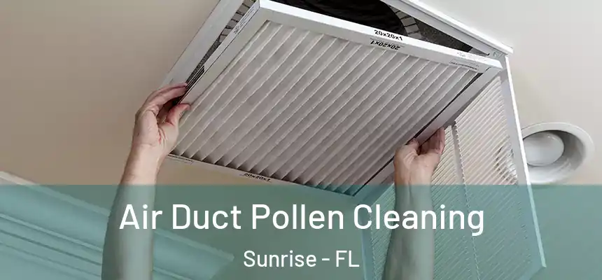 Air Duct Pollen Cleaning Sunrise - FL