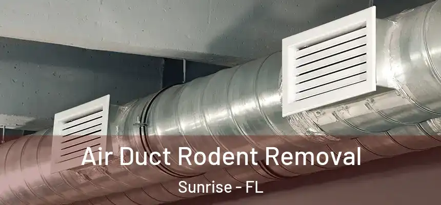 Air Duct Rodent Removal Sunrise - FL