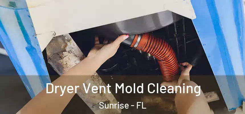 Dryer Vent Mold Cleaning Sunrise - FL