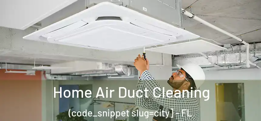  Home Air Duct Cleaning (code_snippet slug=city] - FL