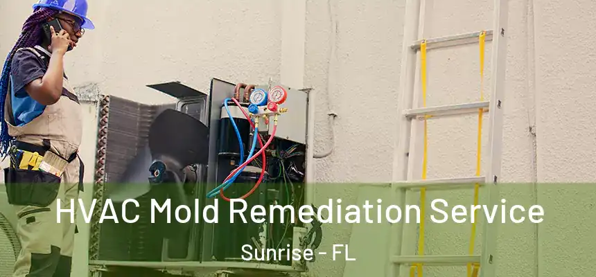 HVAC Mold Remediation Service Sunrise - FL