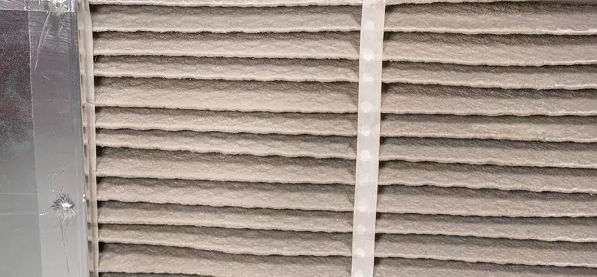 Mobile Car AC Filter Replacement in Sunrise