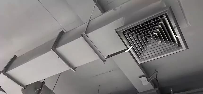 Restorative Allergy Relief Vent Cleaning – Coil, Blower & Housing Detail in Sunrise