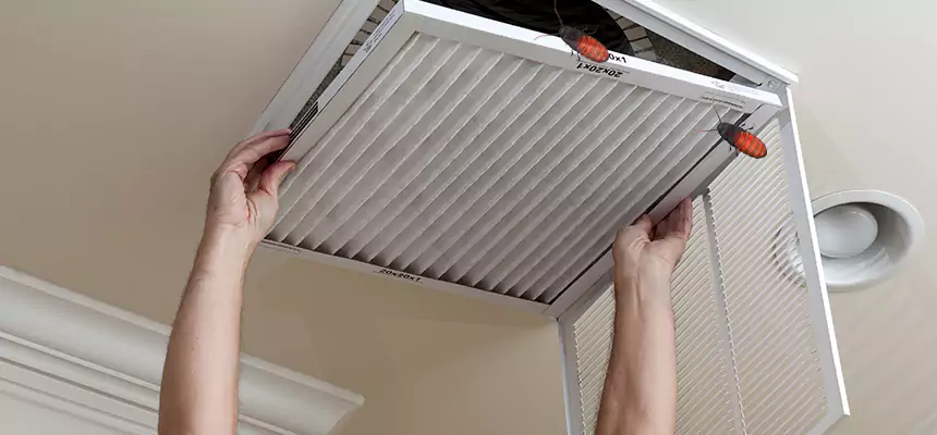 Our Insect Removal from Air Ducts Services in Sunrise, FL