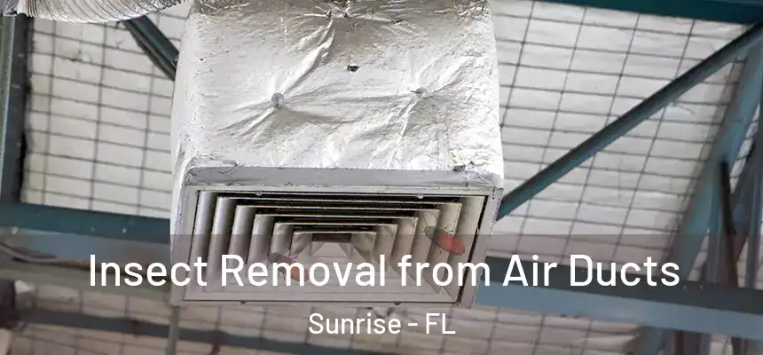 Insect Removal from Air Ducts Sunrise - FL