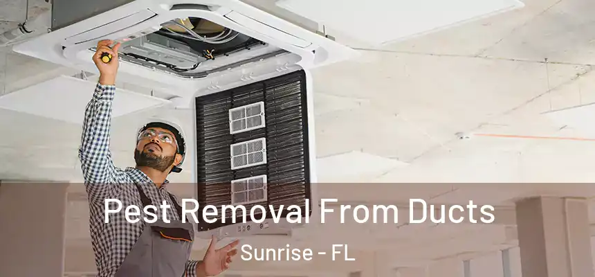 Pest Removal From Ducts Sunrise - FL