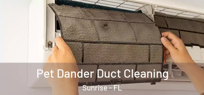 Pet Dander Duct Cleaning Sunrise - FL