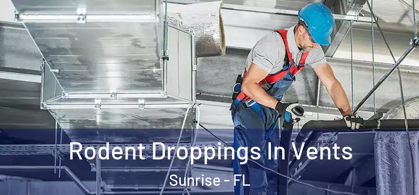 Rodent Droppings In Vents Sunrise - FL