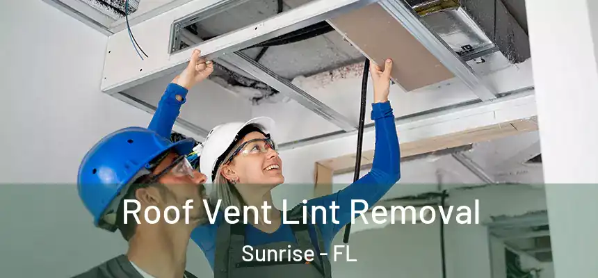 Roof Vent Lint Removal Sunrise - FL