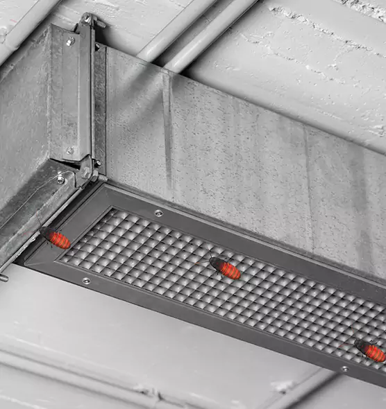 About Air Duct Cockroach Removal in Sunrise, FL