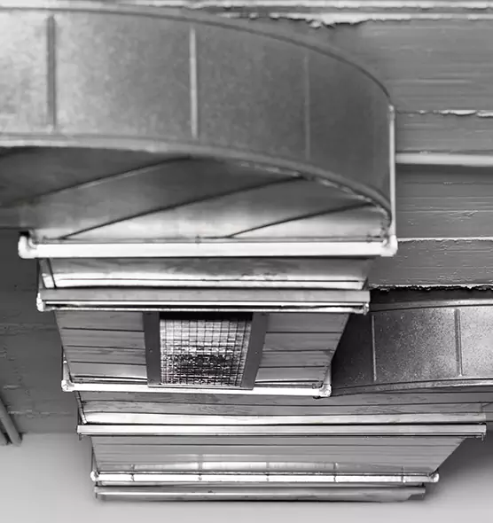 Professional Air Duct Pet Hair Removal in Sunrise, FL