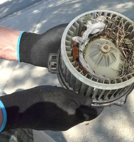 About Air Duct Rat Removal in Sunrise, FL