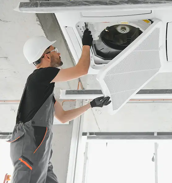 About Air Duct Rodent Removal in Sunrise, FL