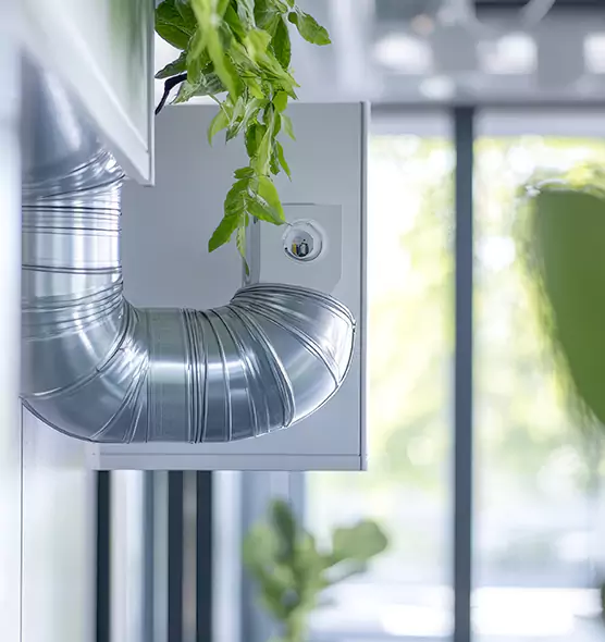 Professional Eco-Safe Dryer Vent Cleaning in Sunrise, FL