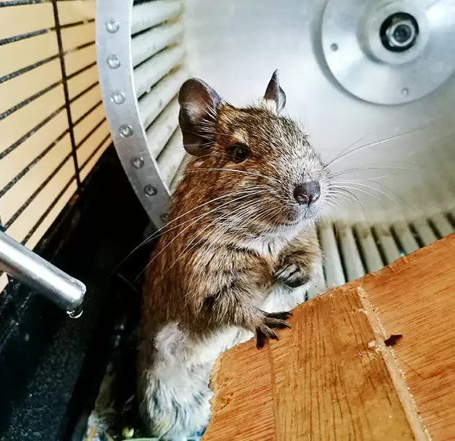 Why Homeowners & Businesses Trust Us Sunrise, FL?