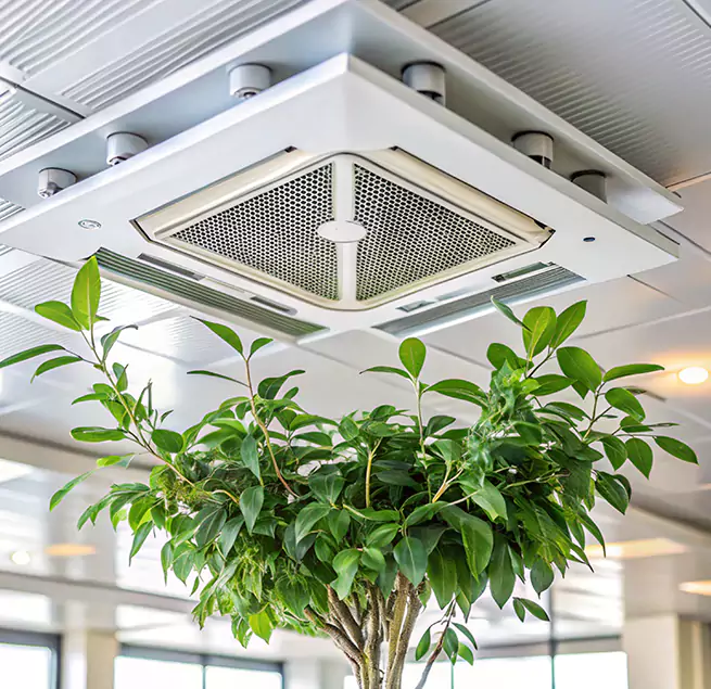 Why Homeowners & Businesses Trust Us in Sunrise, FL?