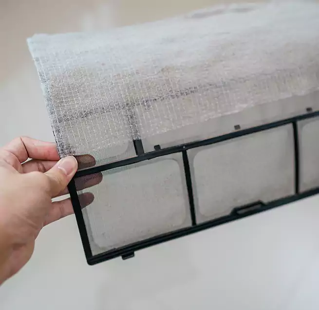 Why Homeowners & Businesses Trust Us in Sunrise, FL?