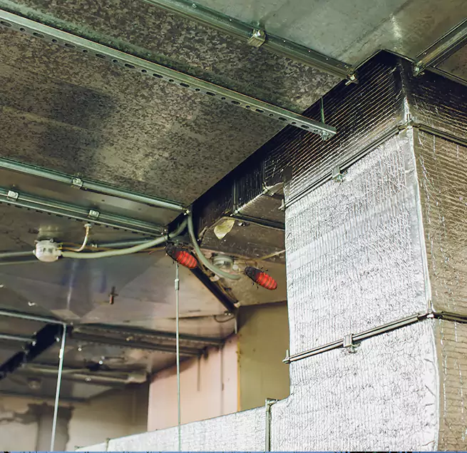 Why Homeowners & Businesses Trust Us Sunrise, FL?