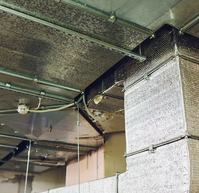 Why Homeowners & Businesses Trust Us in Sunrise, FL?